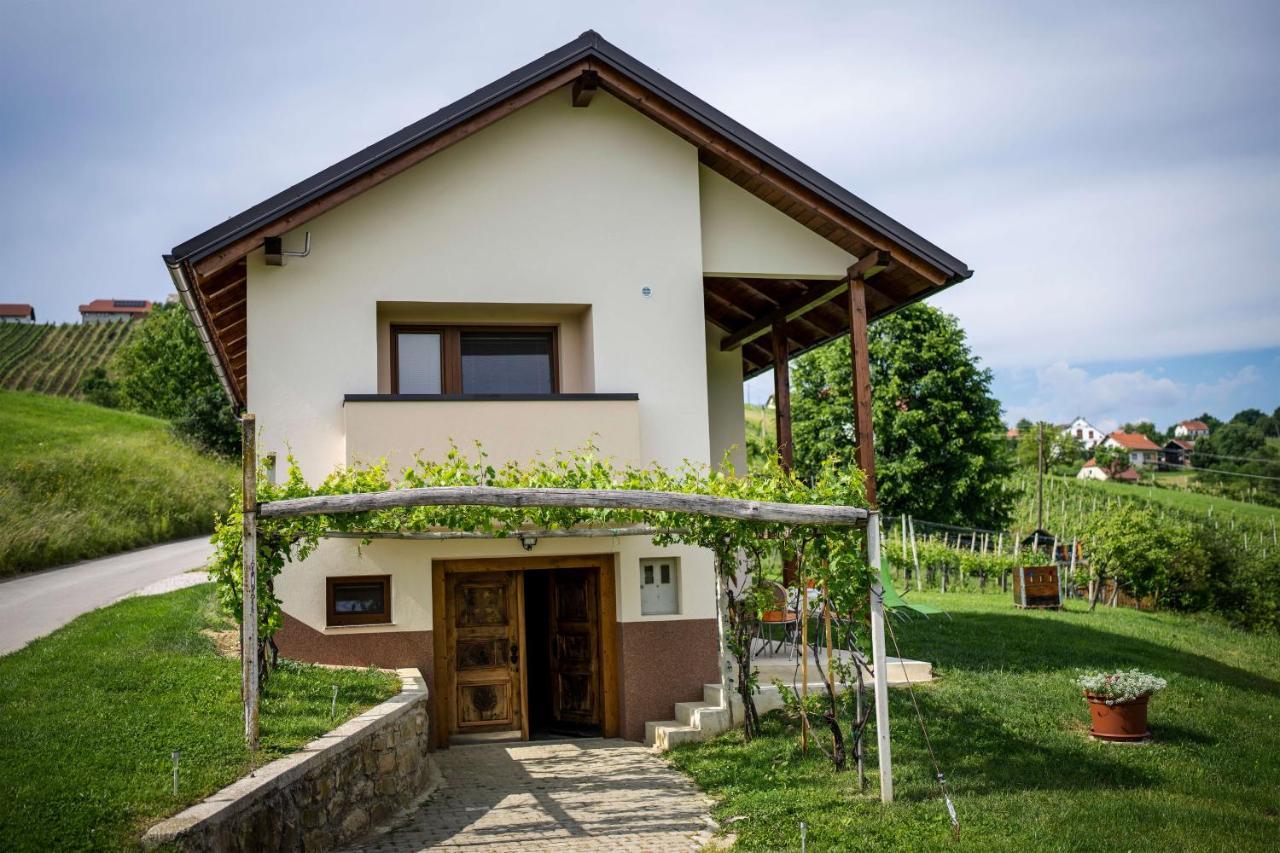 Holiday House Zlacka Gorca Pristava pri Mestinju Kültér fotó