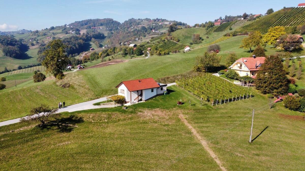 Holiday House Zlacka Gorca Pristava pri Mestinju Kültér fotó
