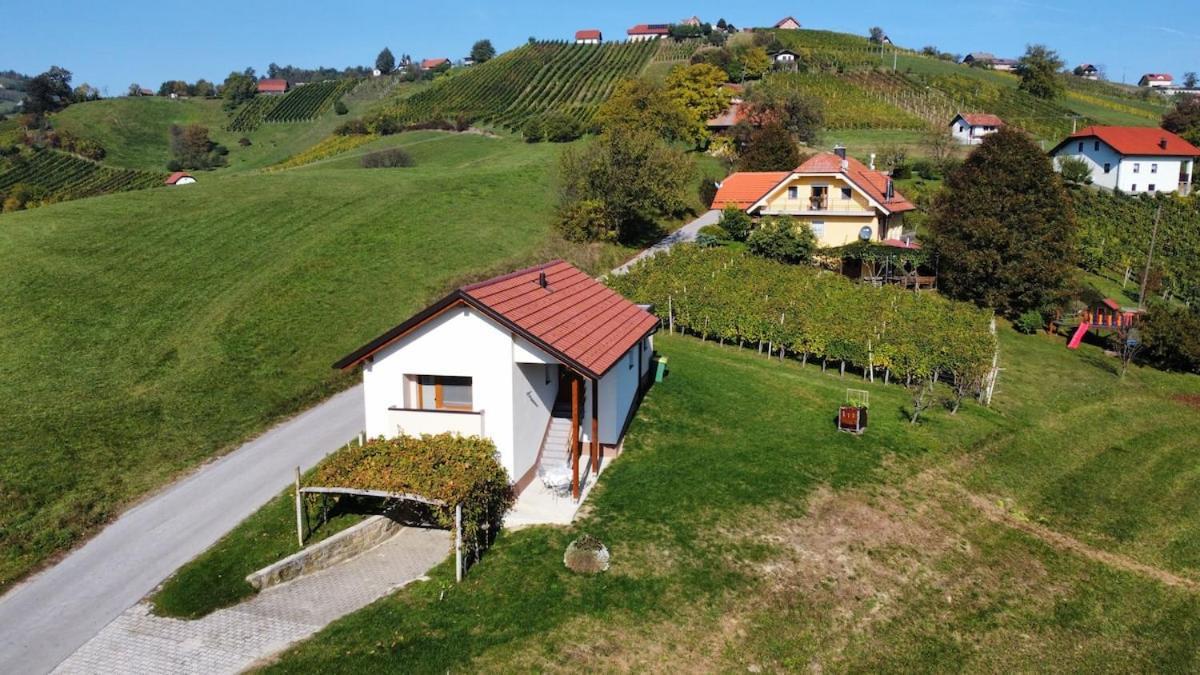 Holiday House Zlacka Gorca Pristava pri Mestinju Kültér fotó